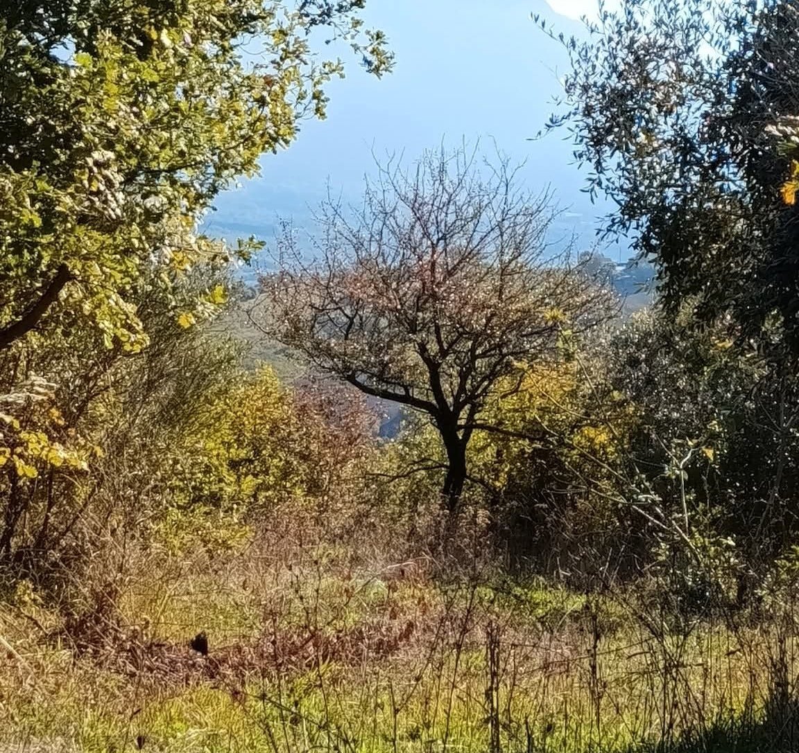 matteo_2212's tweet image. 