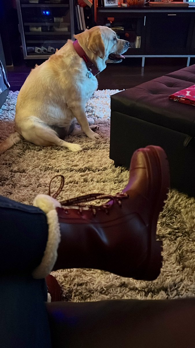 ls1228's tweet photo. Got the rain boots on it's time to head into the downpour at the @lacoliseum for #USCvsIowa ✌🏻🌧️☔️ #FightOn https://t.co/lXtAbp5lEZ