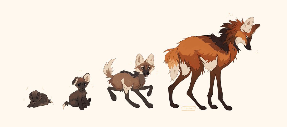 Kamarik21647007's tweet image. 