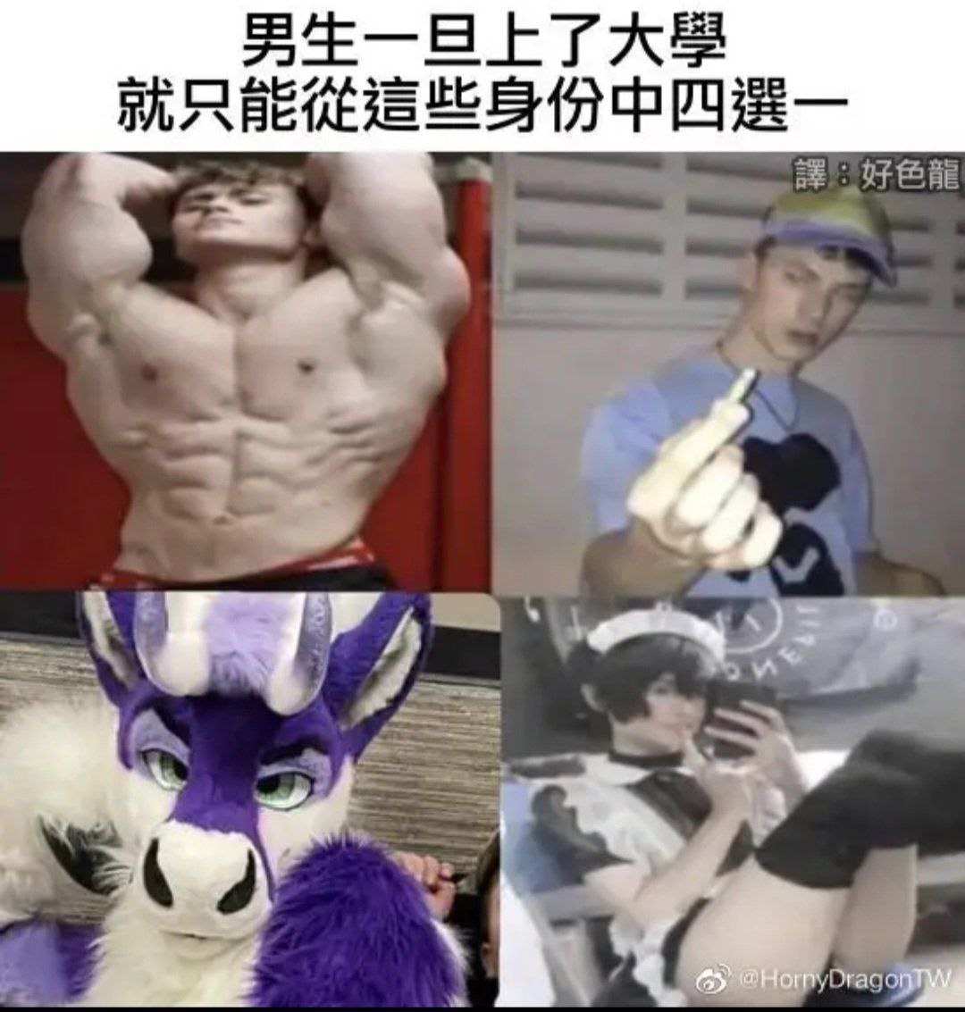 hsn.bot (@hsn8086xe) on Twitter photo 