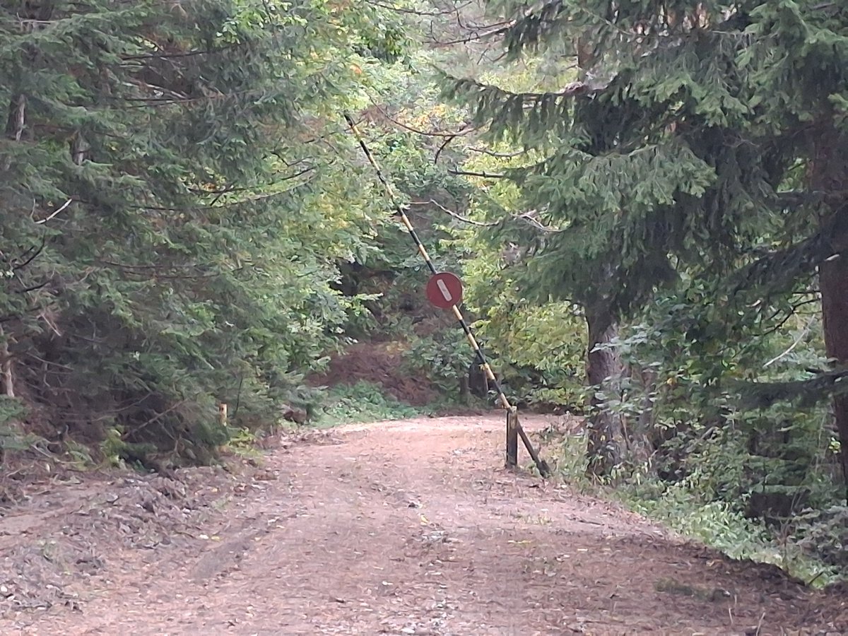 Chris Kairis tweet media