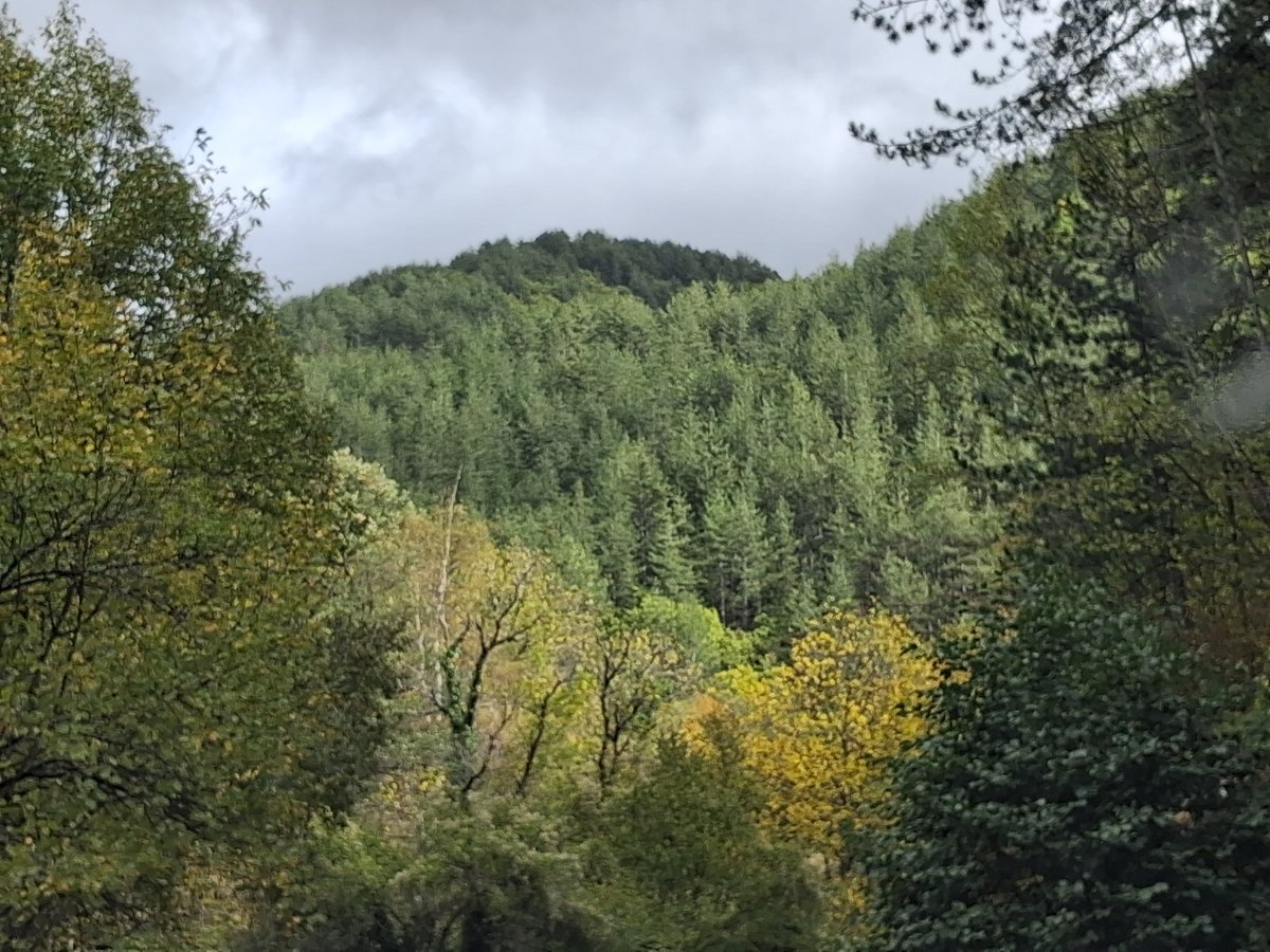 Chris Kairis tweet media