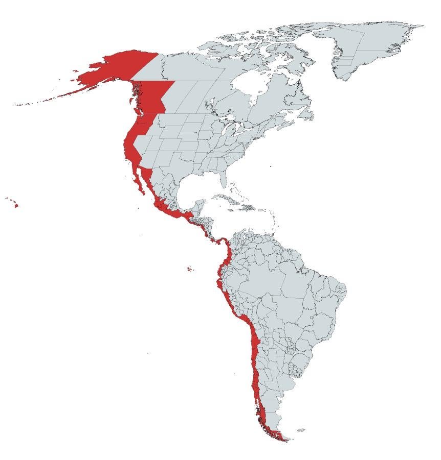 satyanutella_'s tweet image. Soon..