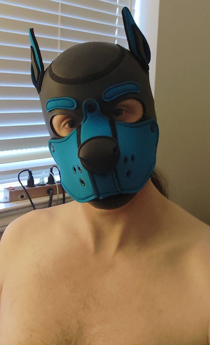 FriskyFoxDs's tweet photo. Wruff #puphood #dallasfreaks #gay #furry #gaypups #puplay https://t.co/dv1KvsW8Sn