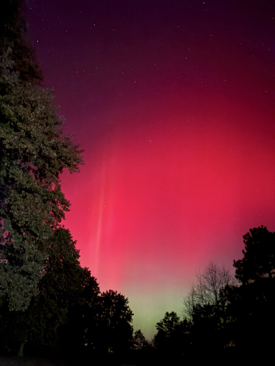 Cathy Schaeffer tweet media