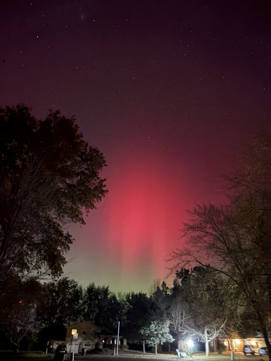 Cathy Schaeffer tweet media