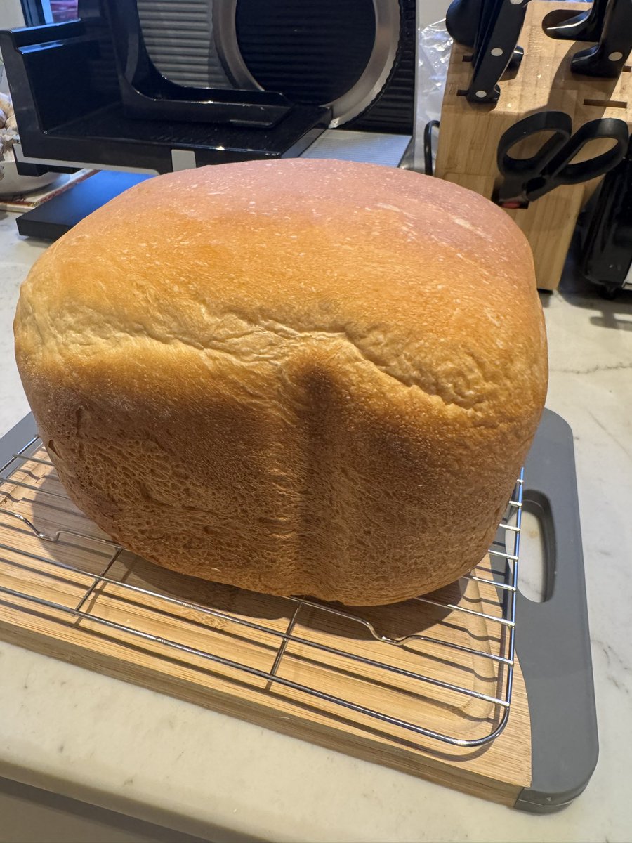 honefuki's tweet image. 隼人くんにベッタベタのお子。
大地くんにも沢山遊んでもらってありがたや☺️
お兄ちゃんたちのレッスンや練習、リハの合間に遊んでもらい超楽しそうなので帰ったらきっとまた寂しがるだろうなー🥺
そして一瞬でなくなった食パン今日も大成功🍞😎
砂糖じゃなくはちみつに変えてみたけどどんな感じかな？