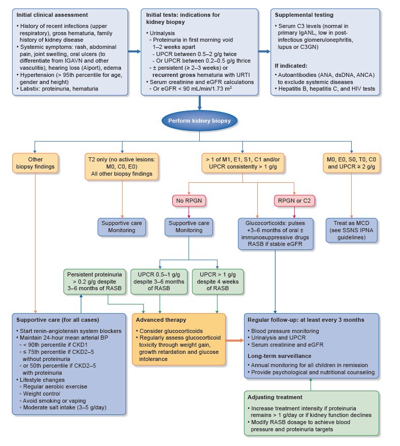 🧒IgA Nephropathy Management Pediatric Nephrology Guideline

academic.oup.com/ndt/advance-ar…

<a href="/NDTsocial/">NDT</a> <a href="/hjanders_hans/">Hans-Joachim Anders</a>