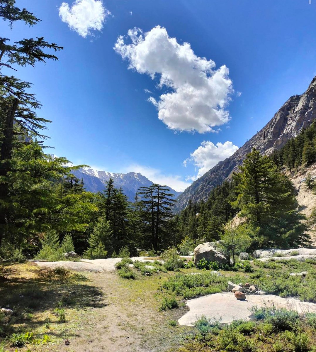 Every few days it's nice to take a pause. Regroup your strengths, organise your thoughts and proceed ahead again. 🌺🌿🕊️
Have a great weekend.. 🌆

Image : internet