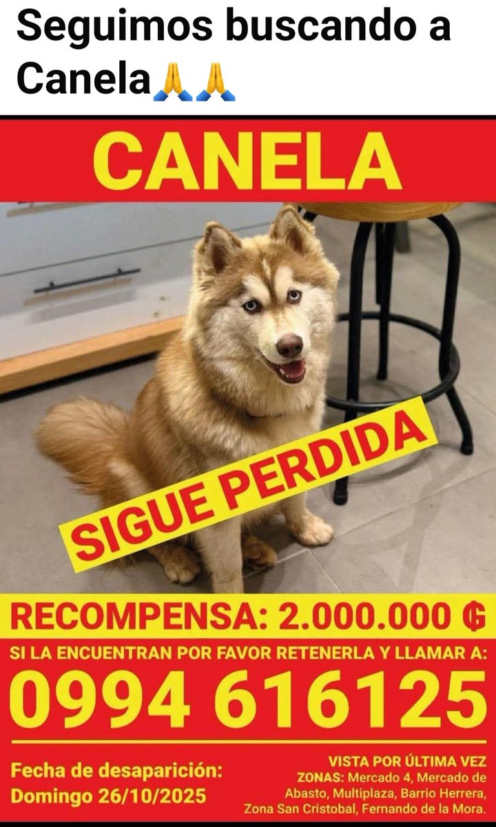 Que CANELA vuelva con su familia 🐕💔🙏🙏 <a href="/patitaperdidas/">Patitas perdidas</a> <a href="/perdidospy/">Mascotas Perdidas Py 🇵🇾</a> <a href="/MarcoHuellasPy/">Marcando Huellas</a> <a href="/TiFaNiiii/">Stephie Bogado Tervit #80547</a>