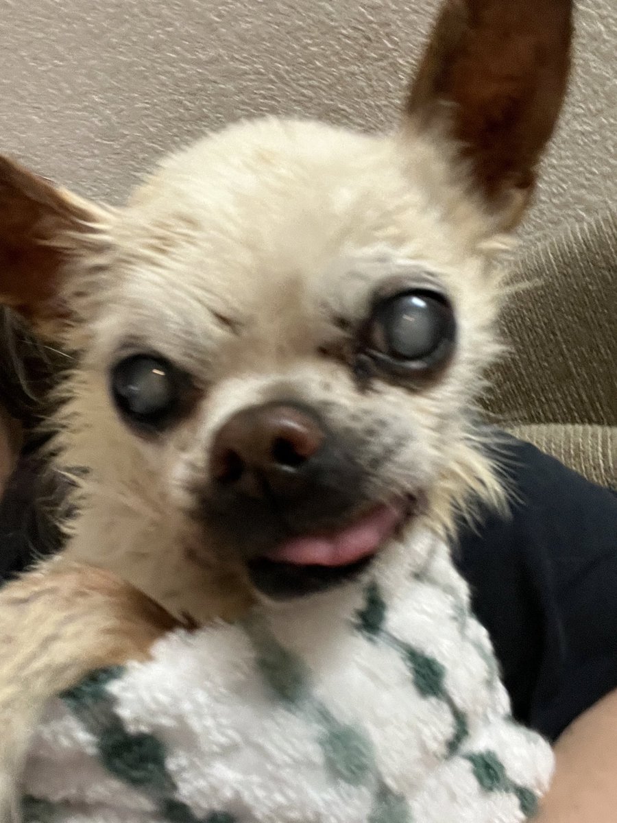 ValerieKates tweet media