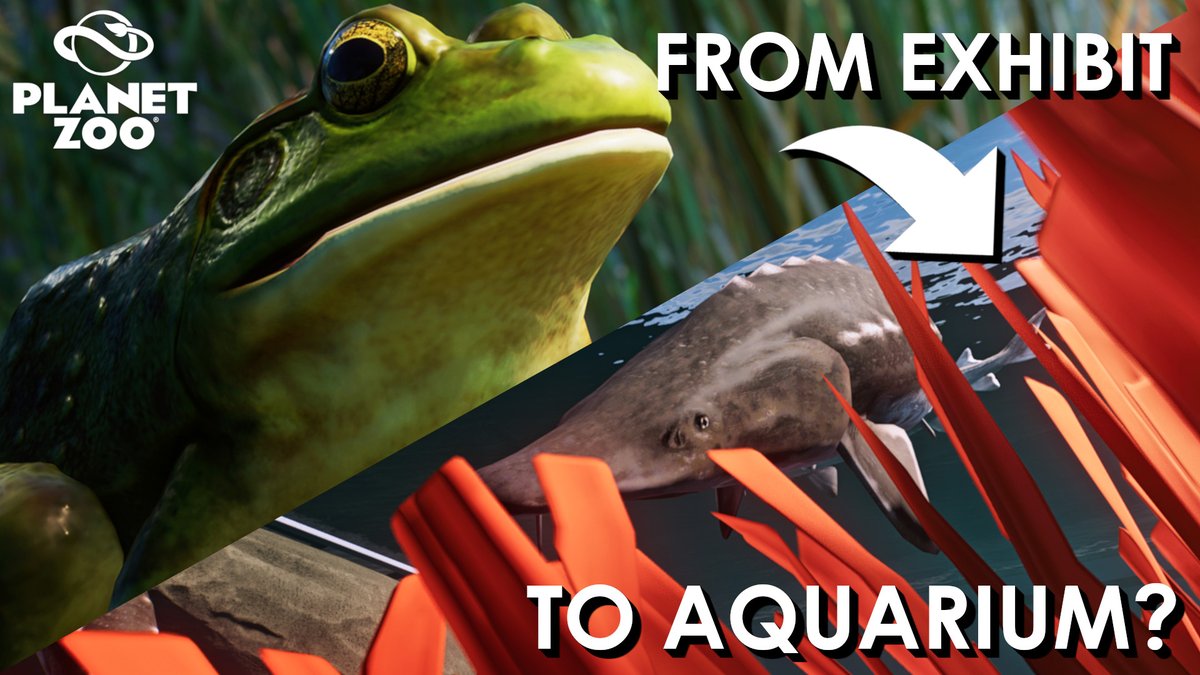 With the confirmation that <a href="/PlanetZooGame/">Planet Zoo</a> 2 is in the works, I'm trying to do something new by speculating what might be in this sequel. 

Starting of with how I think #PlanetZoo2 might tackle aquariums! 👀🐠

youtu.be/RgM8FewU1b4