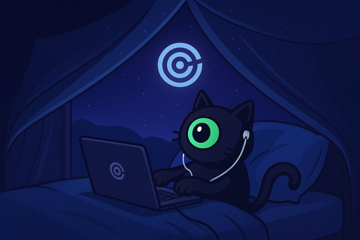 Instead of raw transactions and noise, <a href="/brevis_zk/">Brevis</a> gives developers clean signals that show:
✅️what a wallet has done
✅️how it behaves
✅️what’s consistent and
✅️ what’s meaningful.

All without trust assumptions and no extra infrastructure.
Only a verifiable context that