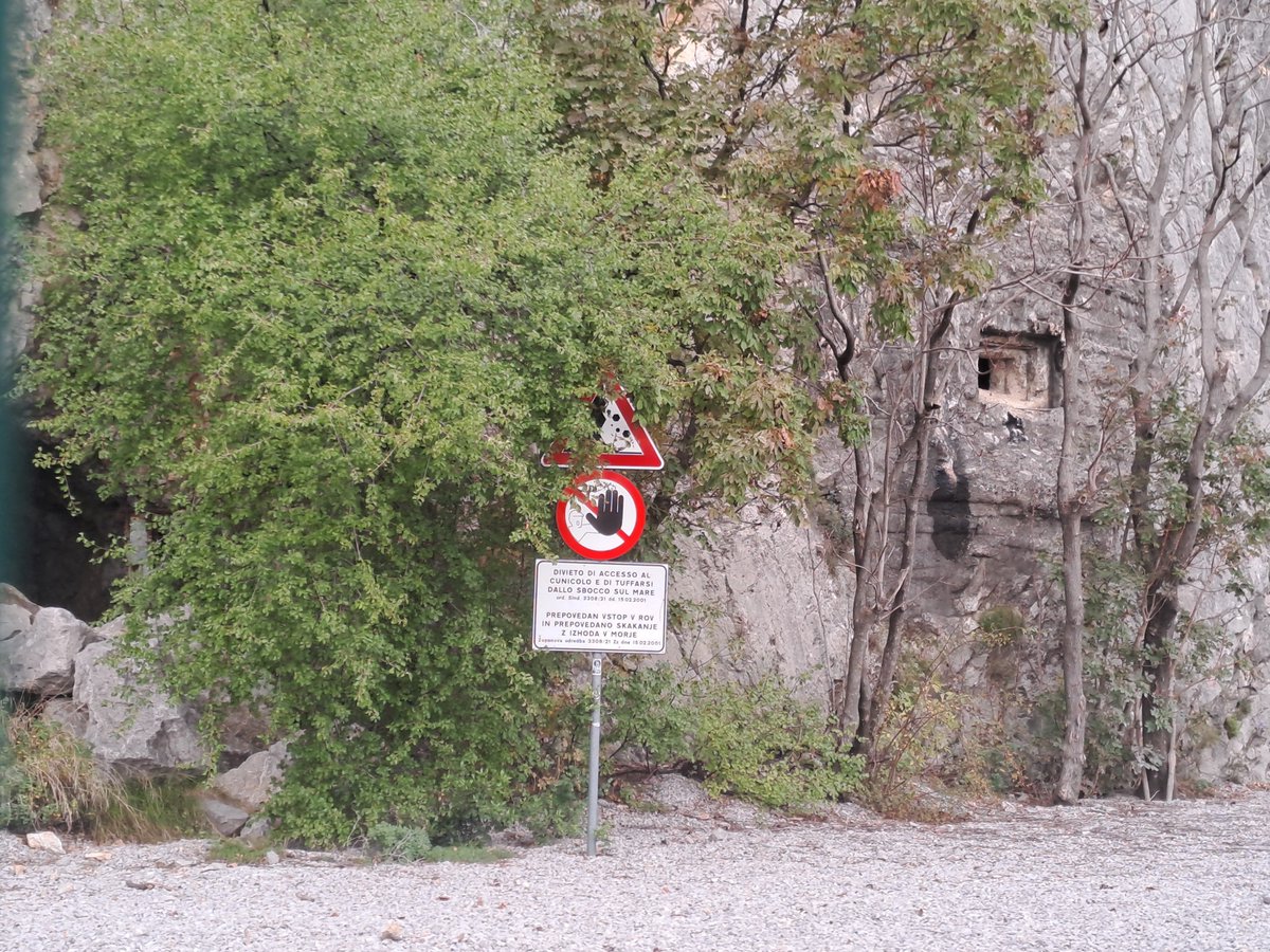 bertoli1966's tweet image. Sistiana bay (Trieste) was involved both in WW1 and WW2. From the last war we can still see traces of the Molch submarine base.
In the last picture you can understand that there is a cavern and when I was young we used to dive from there..11 m I think.
 45 years ago...arghhh:-)