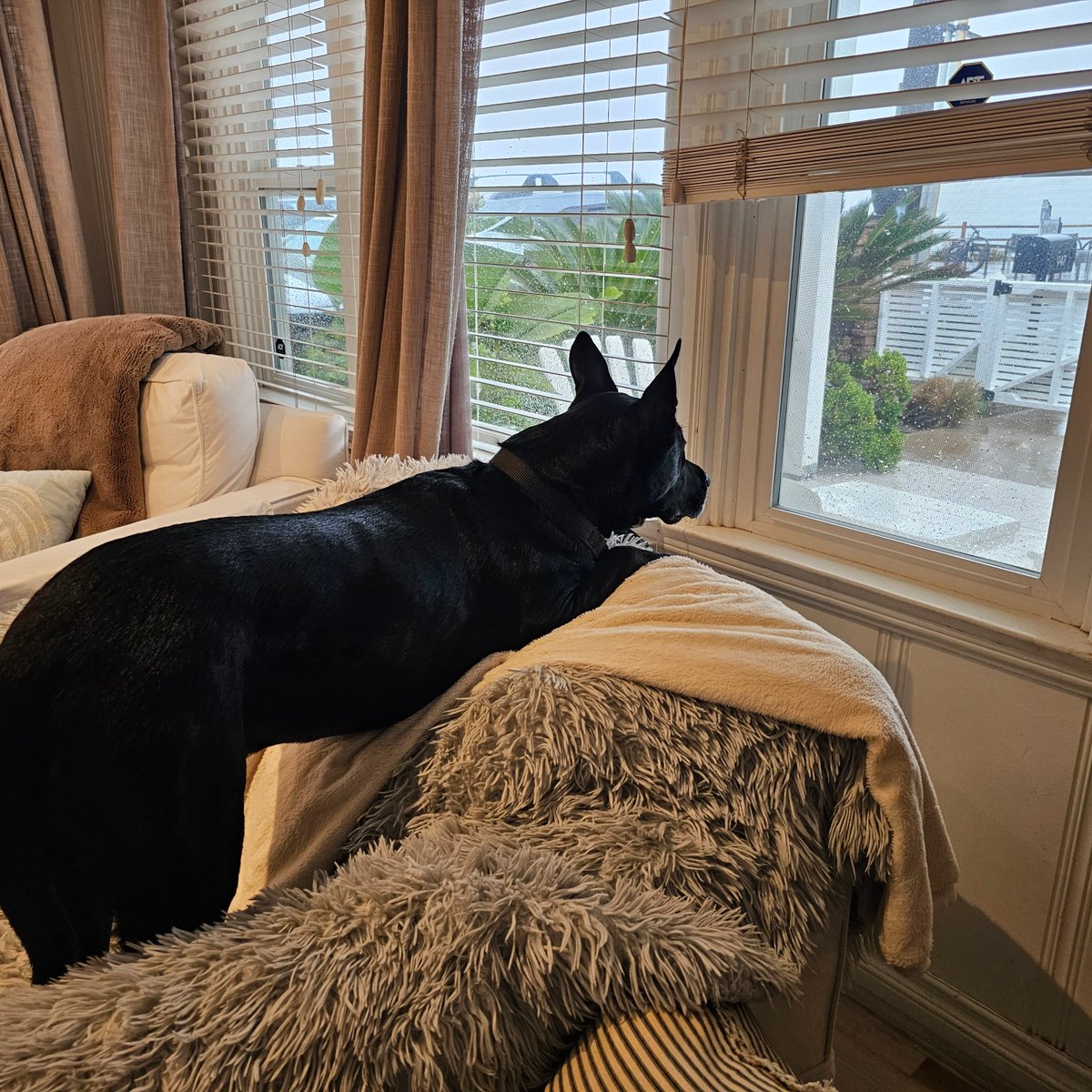 Rainy Day Schedule 🫤