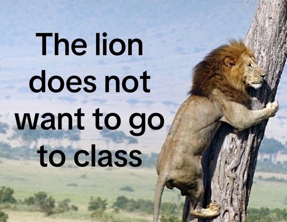 ✧ (@northstardoll) on Twitter photo 