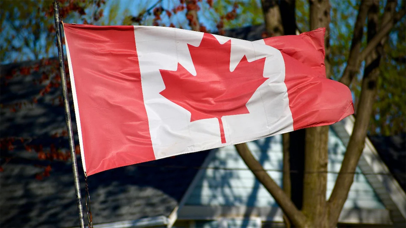 DivyaHimachal's tweet image. PR के इंतजार में बैठे हज़ारों भारतीयों को झटका; कनाडा ने वापस की 2 साल पुरानी एप्लीकेशन्स divyahimachal.com/2025/11/thousa… 
#ThousandsIndians  #PRsuffer #setback #Canada #returns #oldapplications #divyahimachal