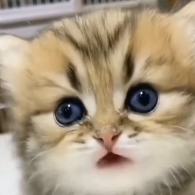 Cristoffer25529's tweet photo. #NewProfilePic https://t.co/0ktZ5qFlau