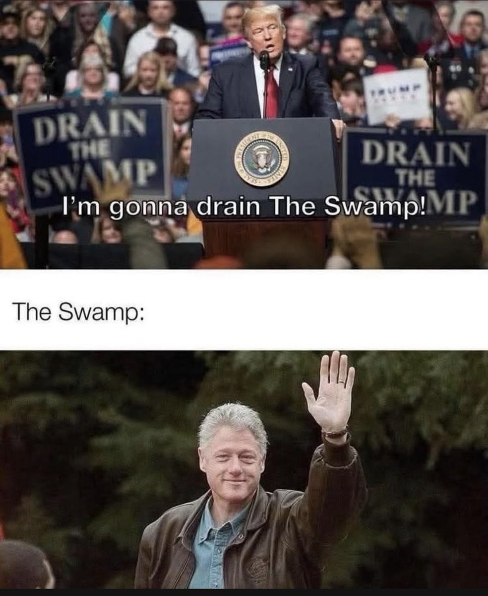 ZombieDuck de Rolo tweet media