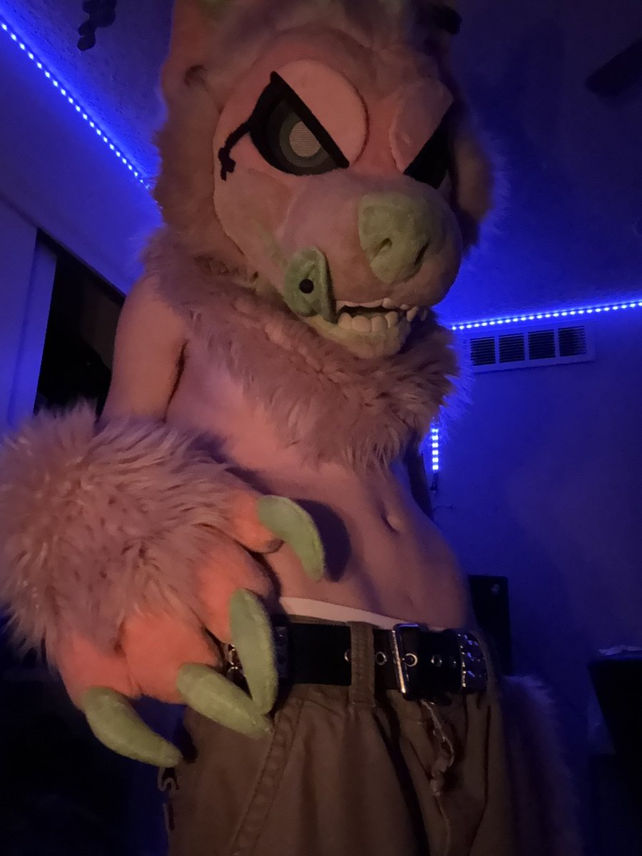 MAKI+RIOT 🍃420/🔞FURFAG/🔪TABOO tweet media