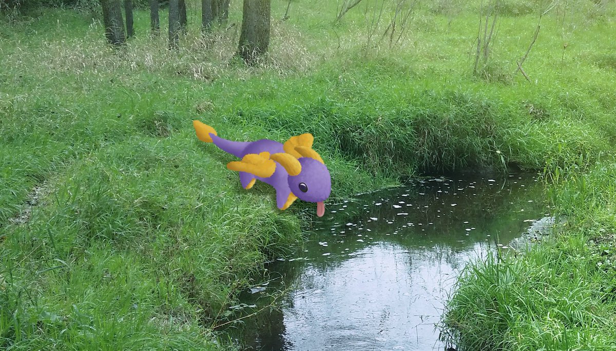 TimidGarden's tweet image. mlem