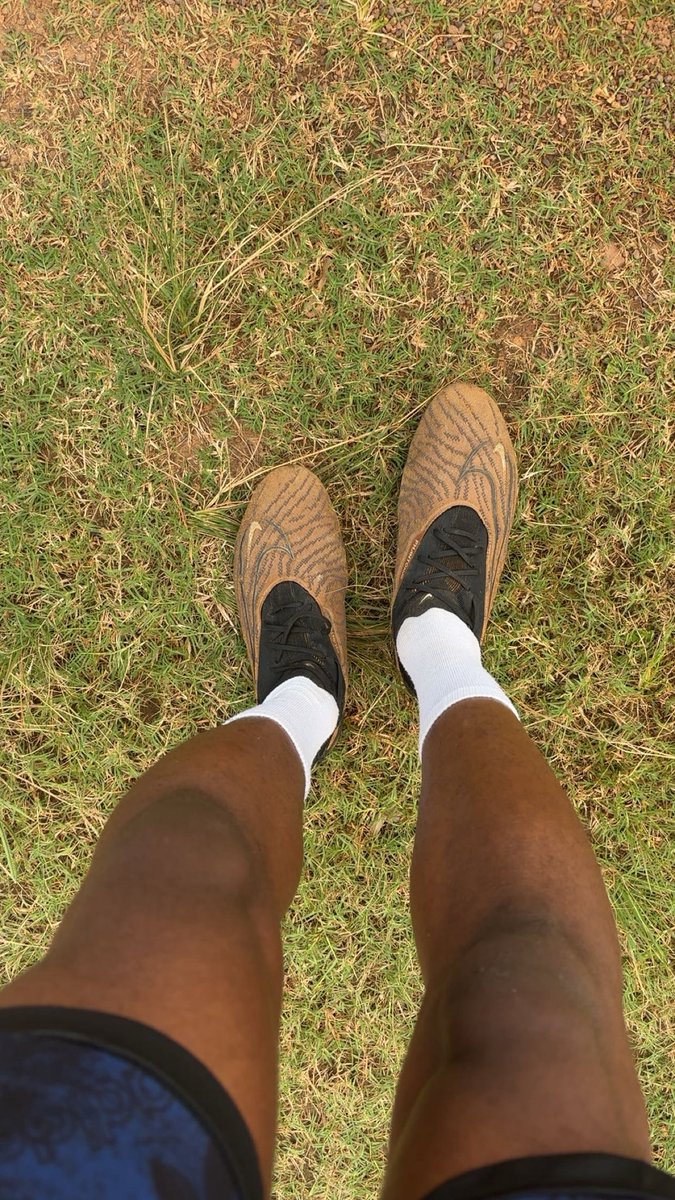 GM. 

I heard a rumor that the bottom is in

So why touch grass if you can run around in it.