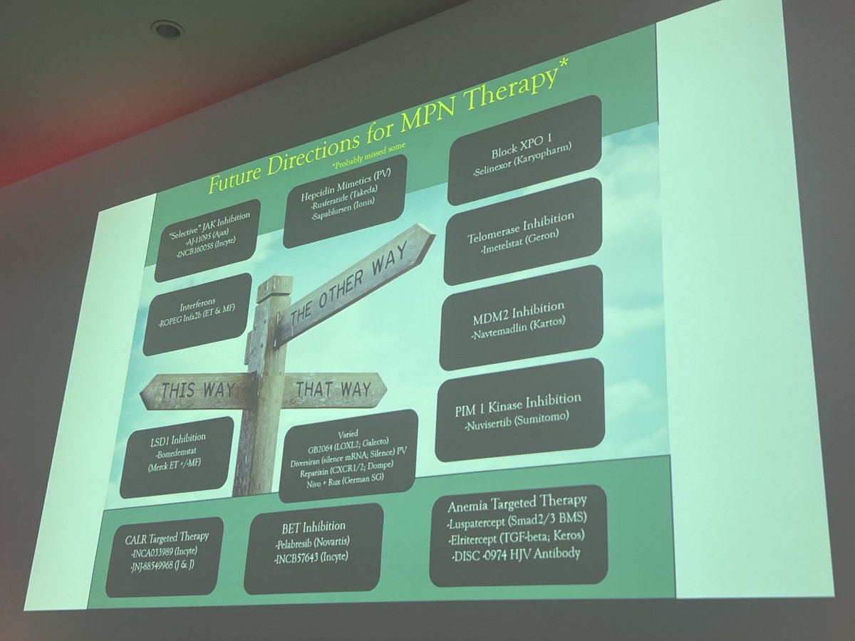 JenniferFrnc's tweet photo. #MPNVoice conference 2025. Fantastic speakers and another brilliant opportunity for patients and clinicians to speak together. Maz will be so missed! Happy Debbie will take the reigns https://t.co/0qJuopdg6B
