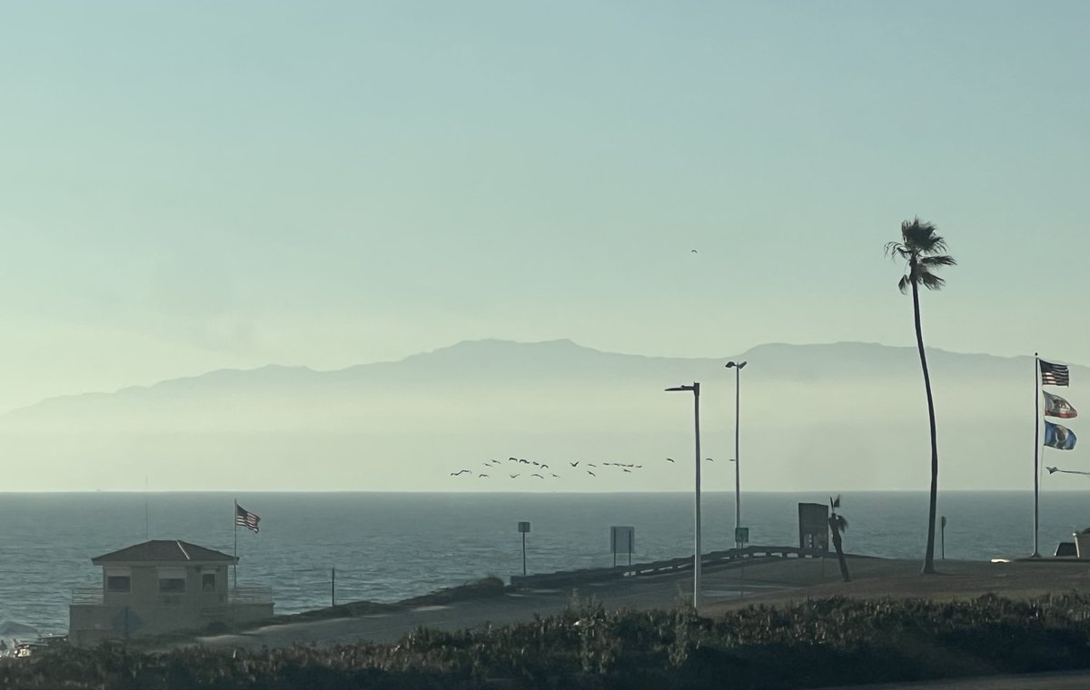 Kevin Lu tweet media