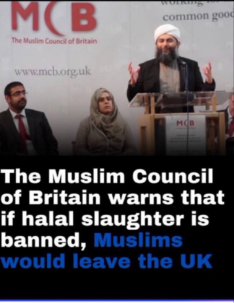 benonwine's tweet image. The Muslim Council of Britain warns that Banning Halal Slaughter would force many Muslims to leave the country.

What is your REACTION to this?