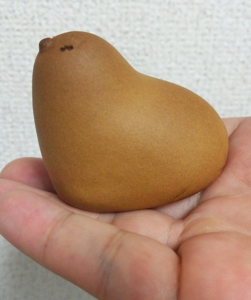 うまうま　かわいい