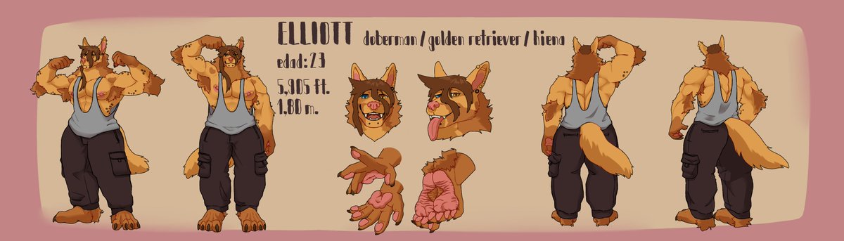 AzceinC's tweet photo. reff sheet for @CinnamonLynx 
arff https://t.co/wIJvvT4VnH