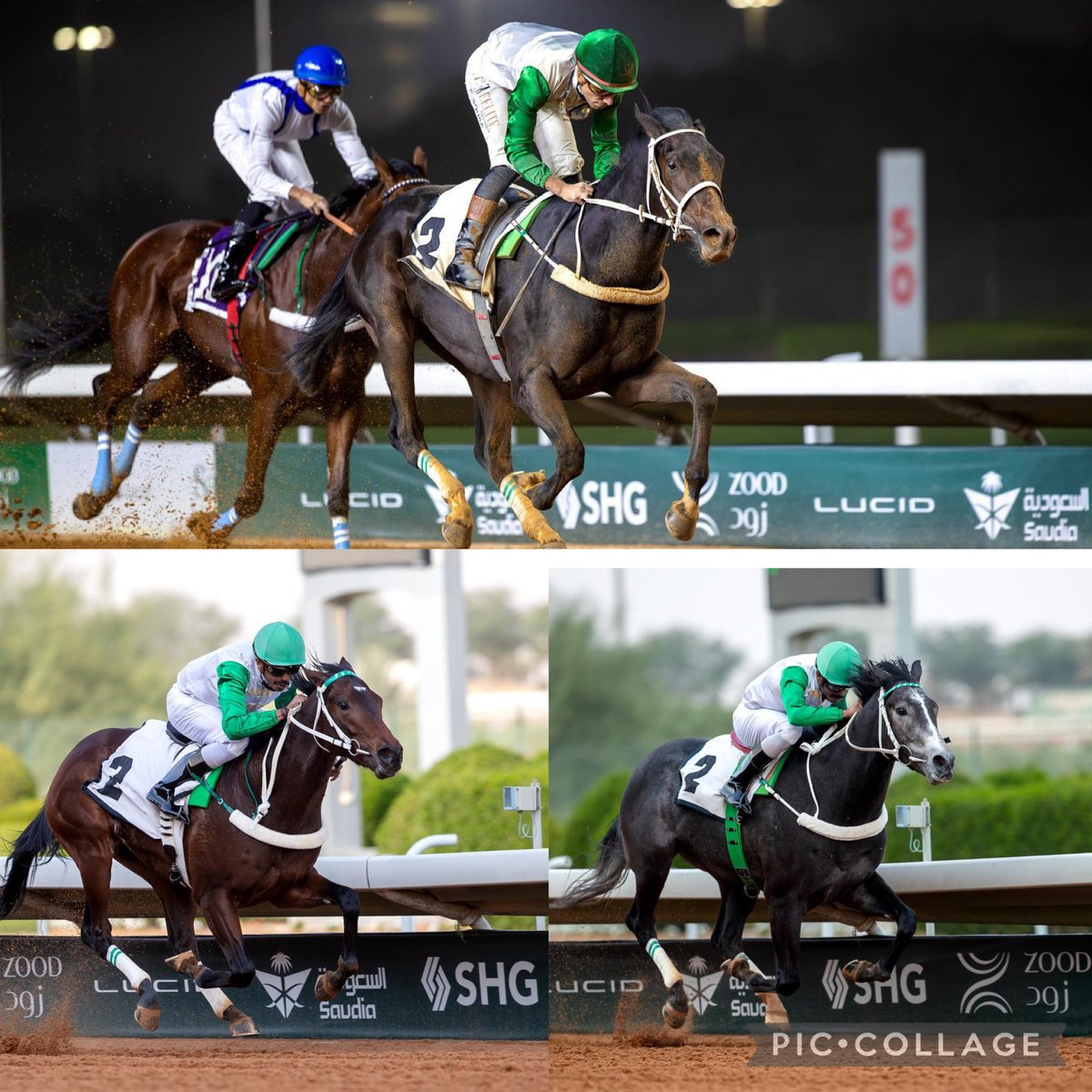 القوس 
فاروق 
الهرم 
ابرز أمهارة الديحاني والصباح 🇰🇼
<a href="/alareen_racing/">العرين ريسينق 🇰🇼</a> 
<a href="/FrusiyaClub/">نادي سباقات الخيل</a>