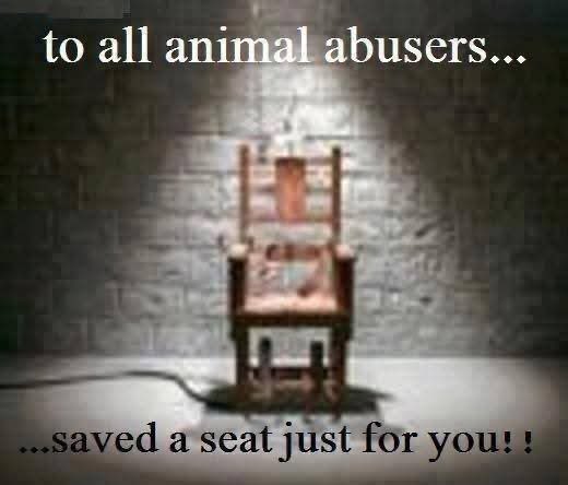 Anyone that abuses an animal is the lowest life form on the planet. 😡