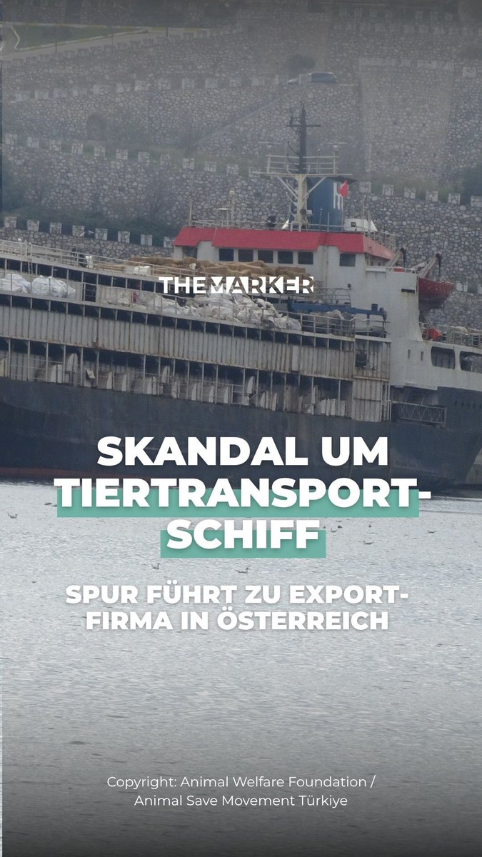 📍Skandal um Tiertransportschiff:
Spur führt zu Exportfirma in Österreich

Das Unternehmen könnte an der Organisation oder Durchführung des Rinderexports maßgeblich beteiligt gewesen sein – möglicherweise im Auftrag oder als Partner der uruguayischen Exportfirma Ganosan.