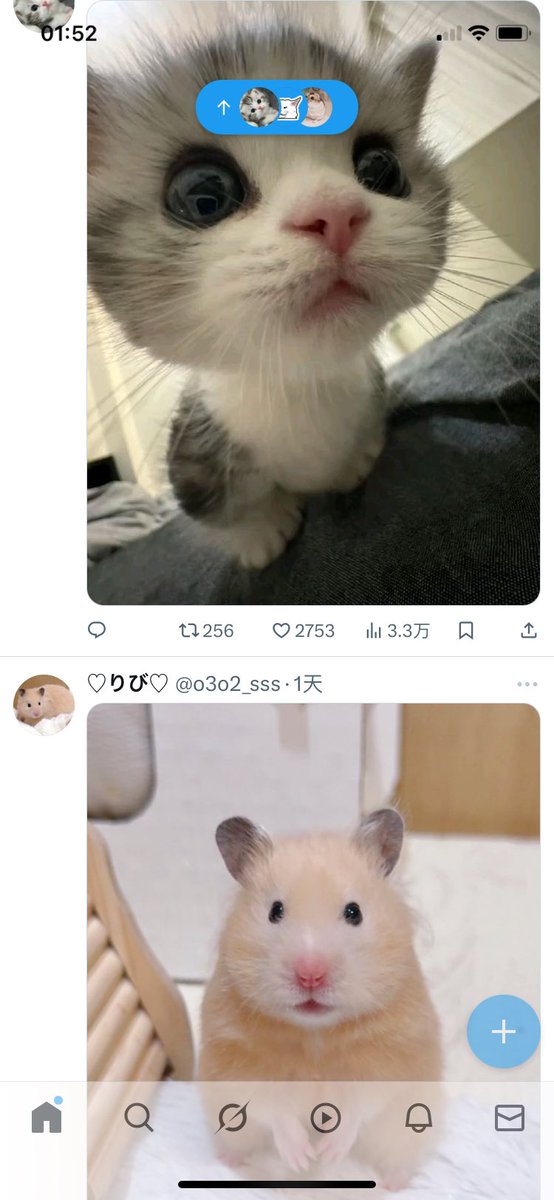 小泡芙 tweet media