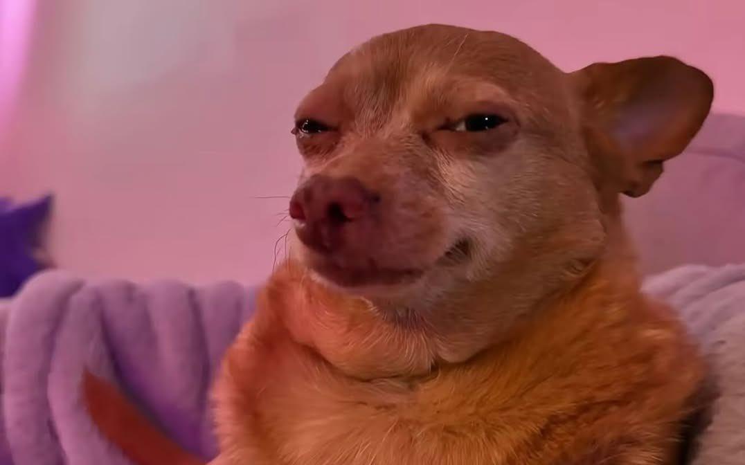 Nuel22005's tweet image. 1k followers and my Back up account never enter 100 follower's 😪, don't you need an active mutual?? Please kindly follow my second account, make I dey engage una in two face 🤭, I'll surely Follow back 🙏
Username - @belikebam_01