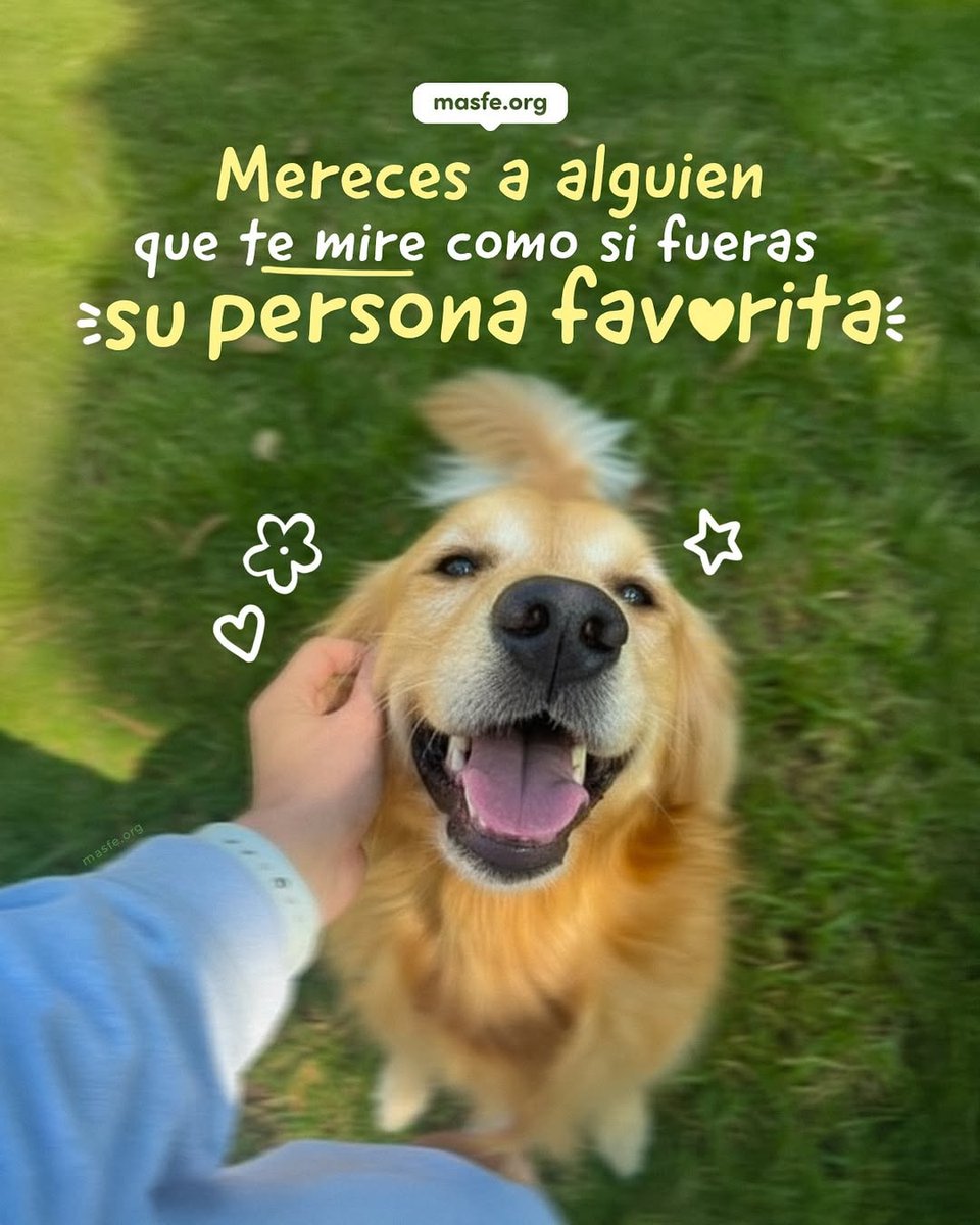 Masfe_org's tweet image. Cuéntanos en los comentarios, que persona alegra tu día 🤭
#masfe #amorpuro #sud #goodvibes