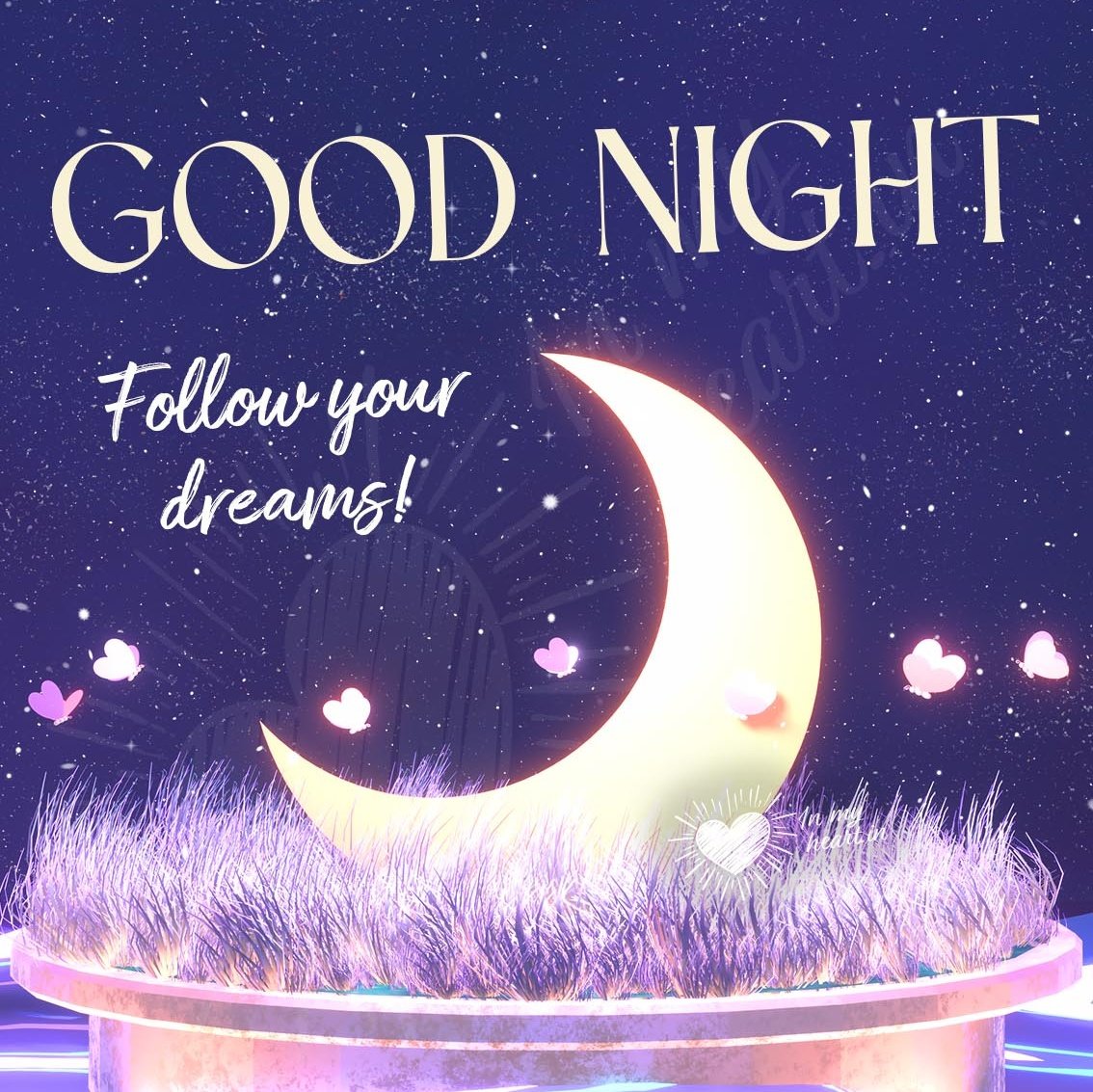 Good night everyone 💤 💤 
Follow your dreams.
