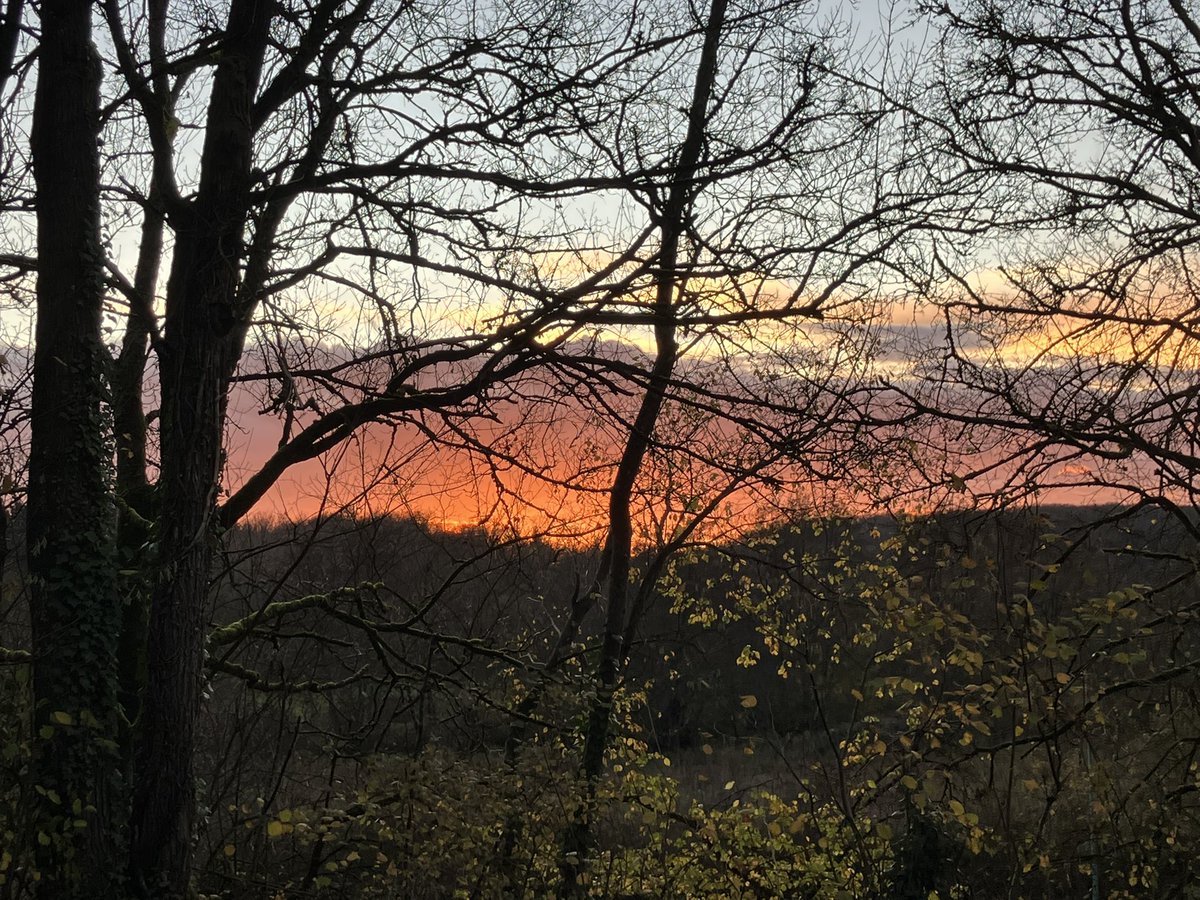 Voor onze 39ste etappe naar #Santiago liepen we van Saint-Franchy naar Urzy, met het geluid van luid blaffende jachthonden (“chasse en cours”), langs weilanden en door het bos.