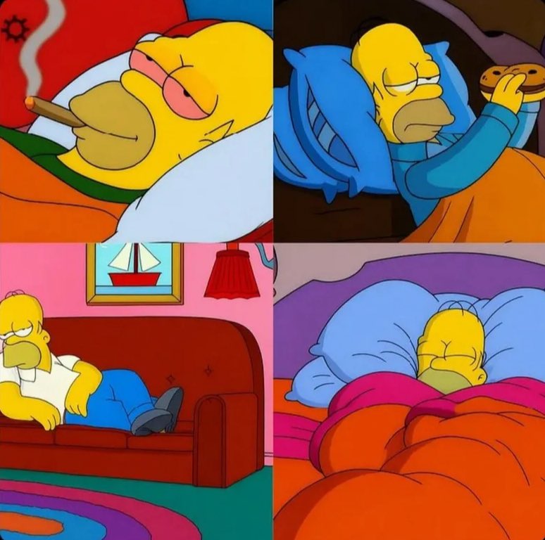 El plan de hoy.
