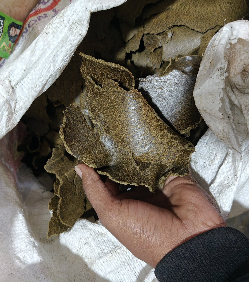 Prajapat204's tweet image. आधे X के लोगों को पता ही नहीं होगा कि यह क्या चीज़ है!!?

जो लोग गांव से जुड़े हैं,चलिए नाम बताइए इसका!!