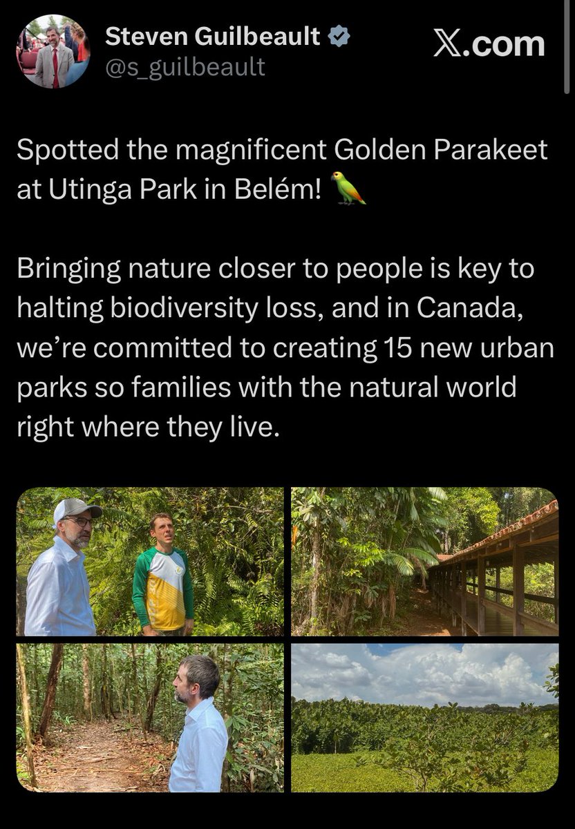 Hey - What is Canada’s Heritage minister doing in Brazil opining on nature at COP? 

What is his mandate? 

Guilbeault lost his environment job after he let Jasper national park and town burn down by ignoring the deadwood his dept was warned for years about. 

So why are we now