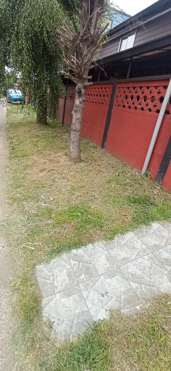 #ValdiviaCL
Aún no se pierde la vieja costumbre que unos días antes de elecciones te vienen a cortar el pasto afuera de tu casa