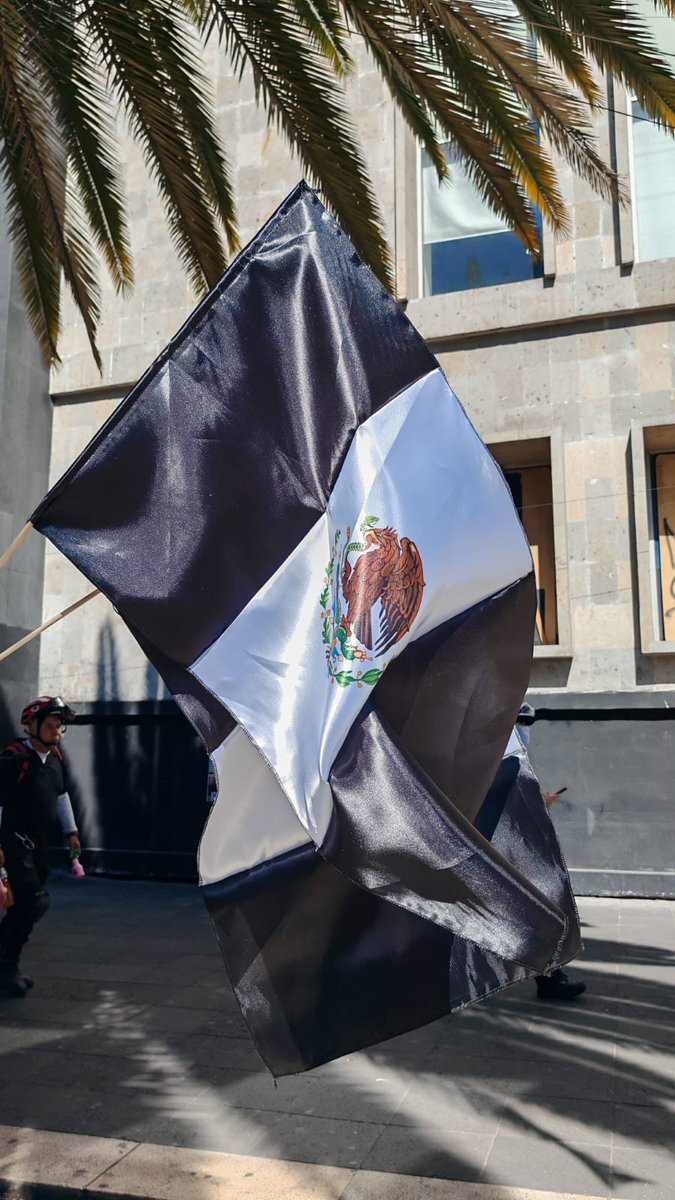 Una de las imágenes más fuertes de la marcha: la bandera tricolor vuelta bandera de luto.
#GeneraciónZ
#MarchaNacional