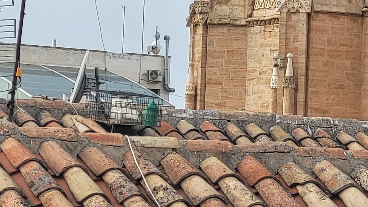 El dueño de un conocido bar de la plaza de #Valdepeñas tiene, en el tejado de su local, una jaula con palomas encerradas. Día y noche. Con lluvia o sol. No son santo de mi devoción, pero muy legal no parece, ¿verdad, <a href="/AytoValdepenas/">AytoValdepeñas</a>? ¿Verdad, <a href="/092Valdepenas/">Policía Local Valdepeñas</a>?