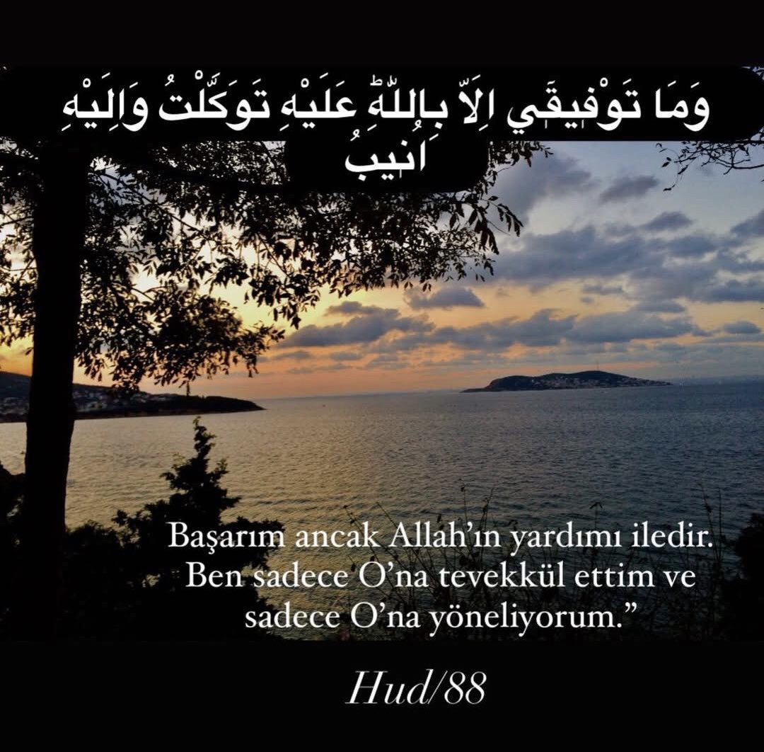 Handan Özduygu (@handanozduygu) on Twitter photo 