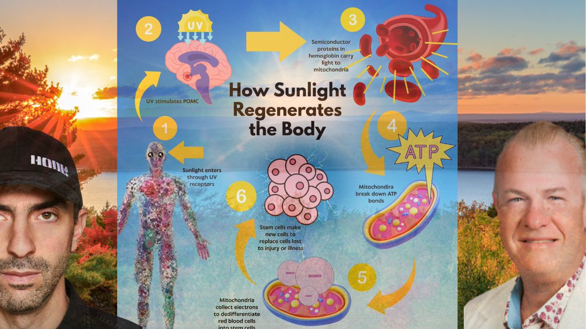 Today at 4:15pm ET I will do my best to Interview Dr. Jack Kruse from  Adopting #Bitcoin El Salvador about the Importance of Sunlight and other  Health Topics! 👇👇👇 https://t.co/dCXDi4iP9i