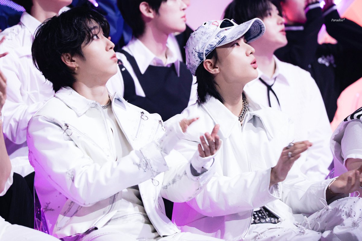 Paradise² tweet media