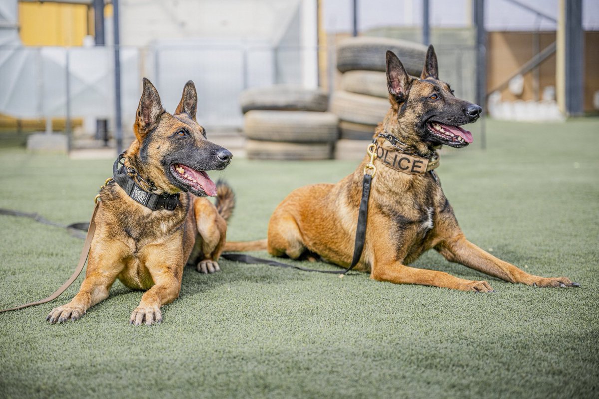 U.S. Central Command tweet media