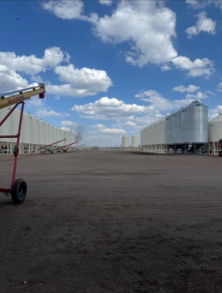 Trueseedsltd's tweet photo. Bins are full, this years price list is out! 
Make sure to get your orders in to take advantage of the early order program!
Don't miss out on the variety's that you want, we've been filling orders fast!
@SeCan @FPGenetics @seednetca @canterraseeds @AllianceSeed @seednetca https://t.co/BJxC30XgIq